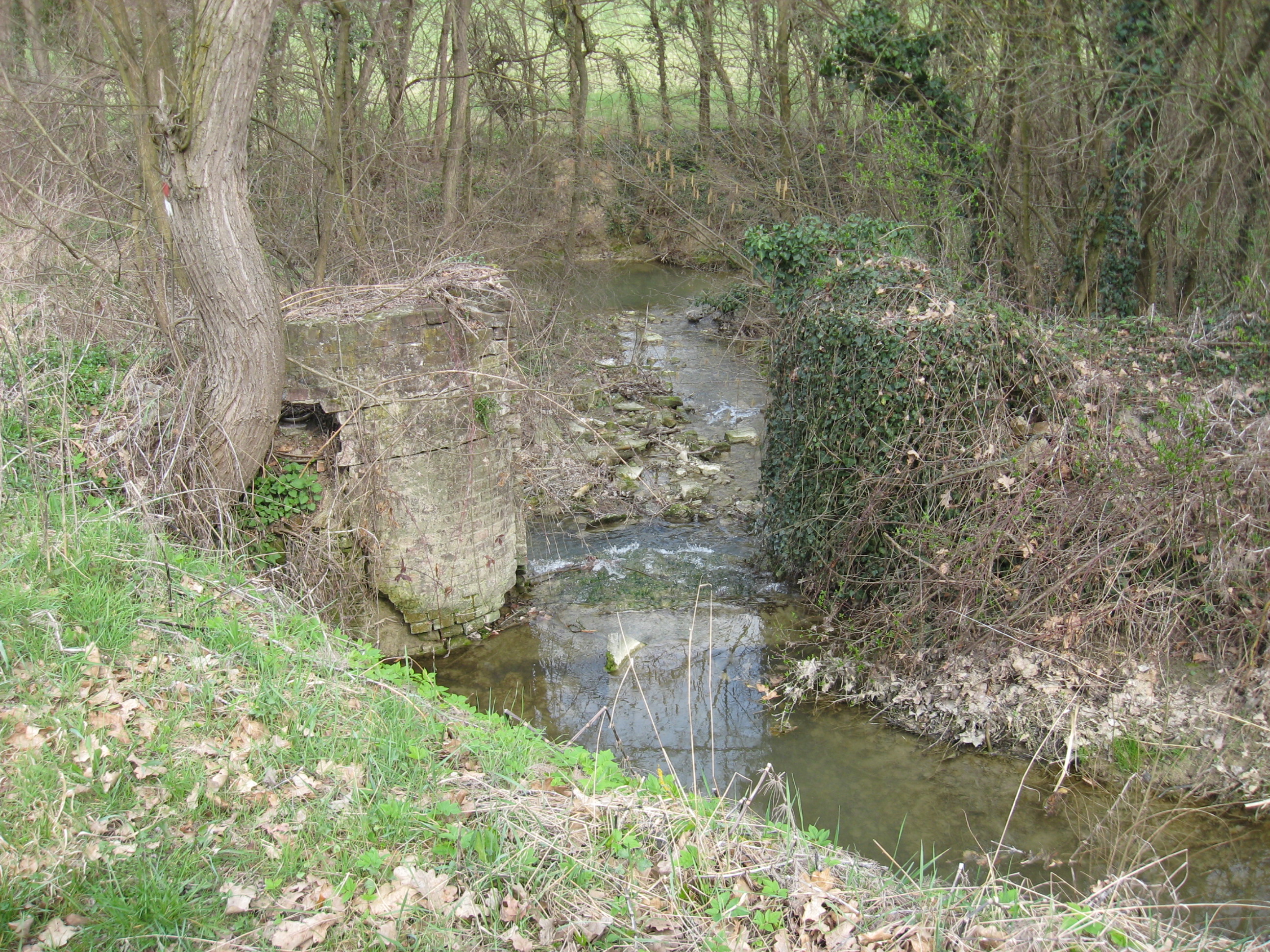 mulino