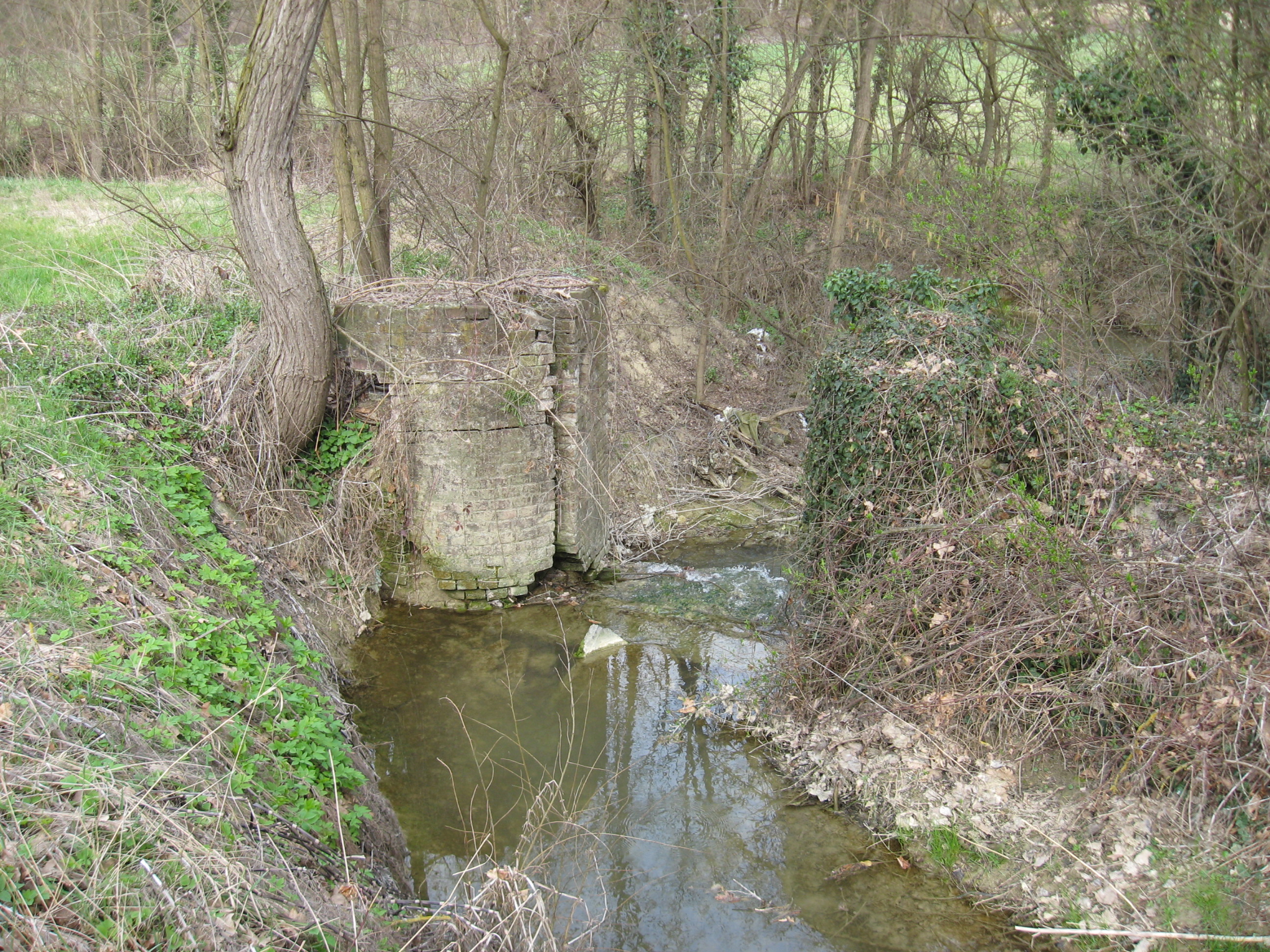 mulino