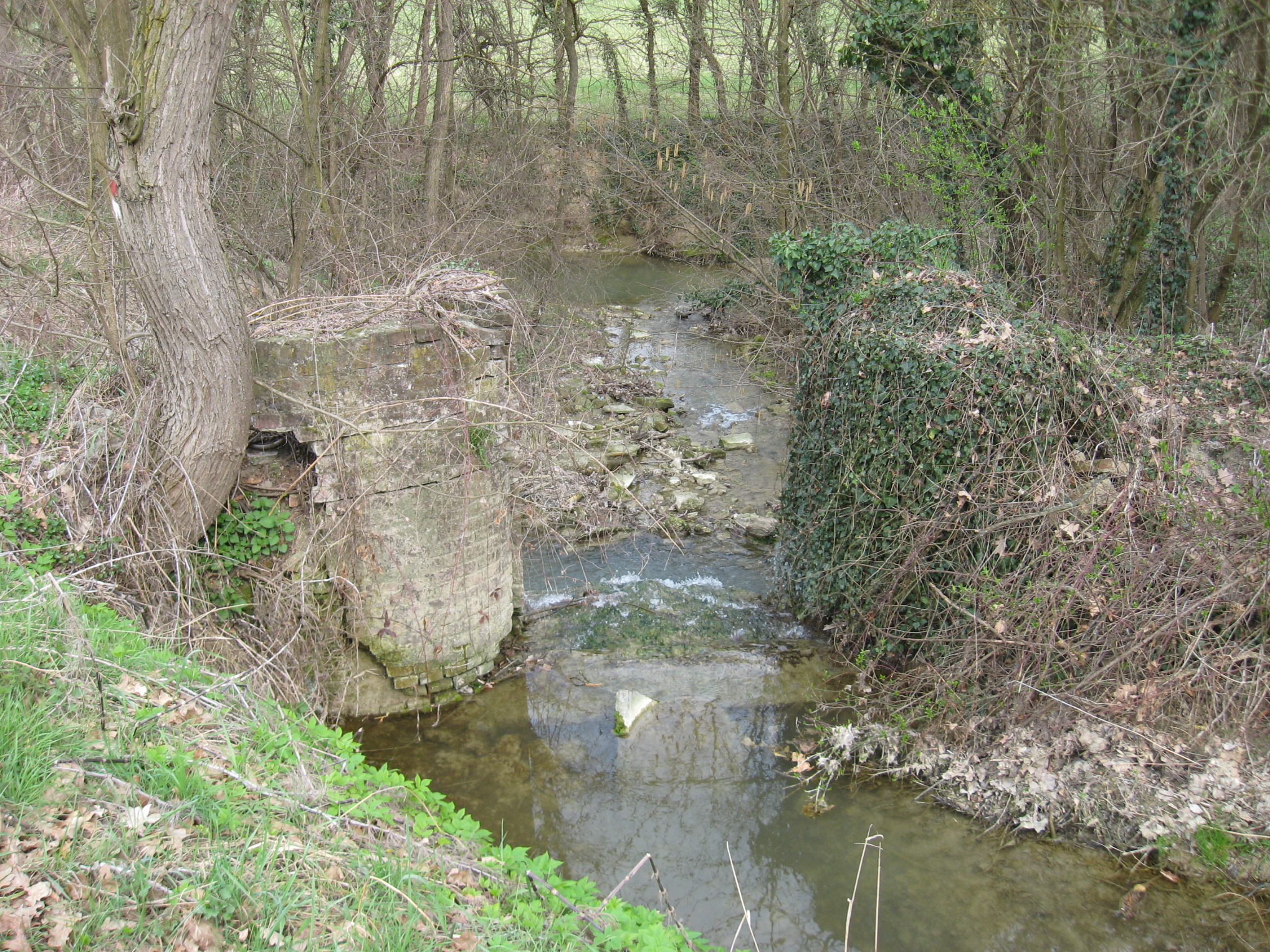 mulino